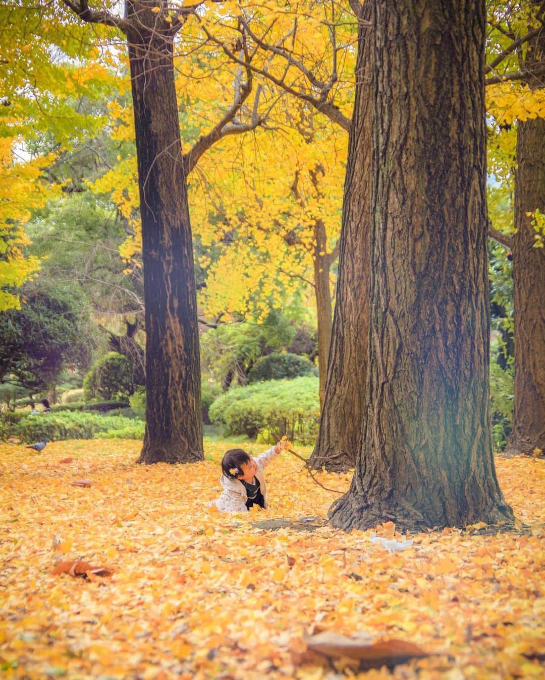 のインスタグラム：「【PART5】「写真でつながる墨田区フォトコンテスト」の受賞者を紹介！  続いて、「すみだで子育て」部門から  子どもが可愛いですね😆  写真１枚目：「すみだで子育て」部門　最優秀賞（@moesimba59）  写真２枚目：「すみだで子育て」部門　優秀賞（@reeyoo____hey）　  #フォトコンテスト　#フォトグラファー #墨田区　#すみだ　#いいね　 ##sumida　#tokyo　#follow」