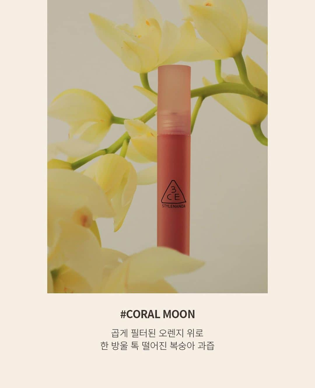 3CE Official Instagramさんのインスタグラム写真 - (3CE Official InstagramInstagram)「#3CE_New 3CE BLUR WATER TINT #CORAL_MOON 복숭아 과즙 한 방울을 믹스한 코럴 컬러 워터리한 첫 터치감으러 스며들어 블러하고 보송하게 마무리되는 립 틴트💋 - A soft matte finish lip tint with less smudging. Get 8% off 3CE new product for a week. - 🌎Global Shipping ✈️en.stylenanda.com #3CE #3CEBLURWATERTINT #수분밀착 #컬러밀착 #보송보송 #더블레이어텍스처」2月25日 19時51分 - 3ce_official