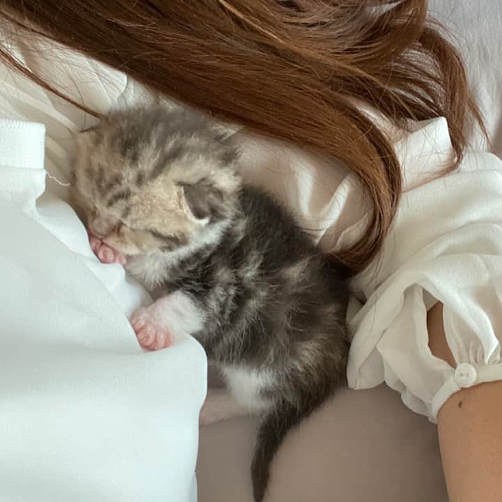 Haruのインスタグラム：「Do not disturb. Baby is sleeping. 😴☁️」
