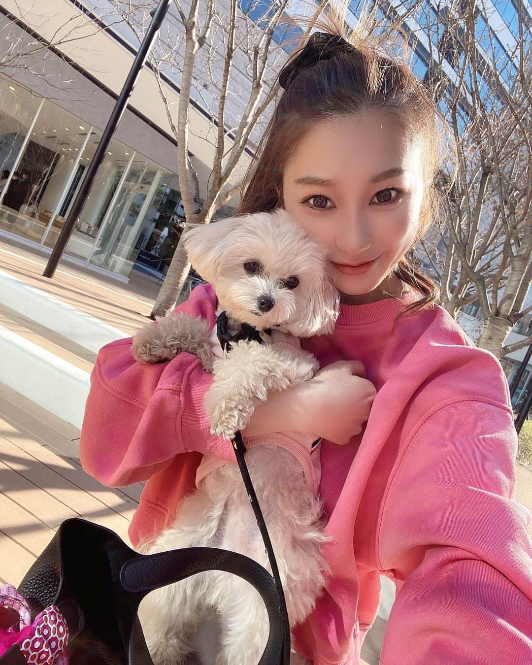 田辺音羽のインスタグラム：「おピンクマンでお出かけ💕🌼 らむたんにもピンク着せた♩ #pink #dogstagram」