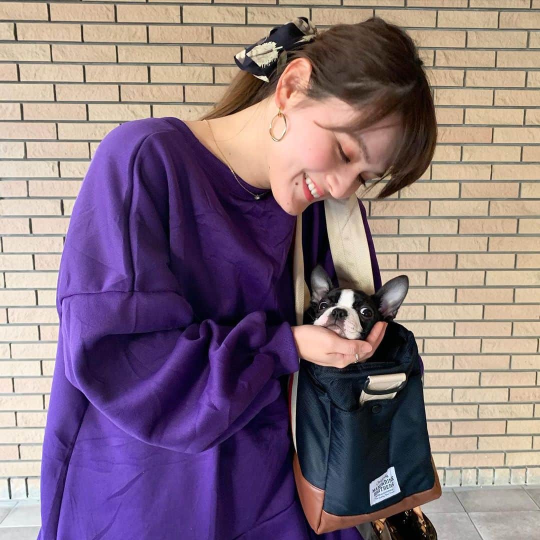 のインスタグラム：「ベティ🐶とイチャイチャ💓 お出かけの時はバッグからひょっこりはんです👜 ・ バッグはMANDARINE BROTHERSのDARK NAVYにしました💓 ・・・ #犬のいる暮らし #ボストンテリア #ボステリ #ベティ #犬好き #🐶 #子犬 #ボストンテリア子犬 #ボストンテリアパピー#生後3ヶ月半 #Bostonterrier #bostonterriergram #犬バカ#小型犬 #instadog #犬スタグラム#いぬすたぐらむ」