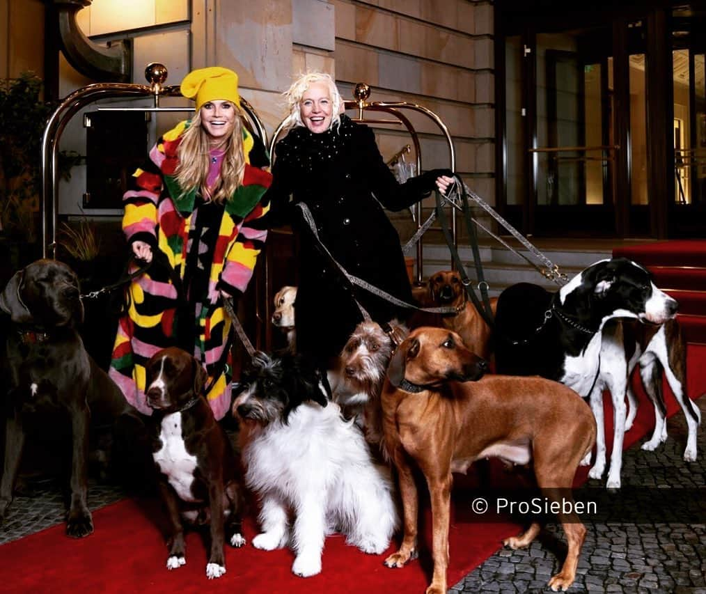 エレン・ヴォン・アンワースのインスタグラム：「Presenting our models for tonight’s show #GNTM with @heidiklum 🦮🐩🐕 @prosieben」