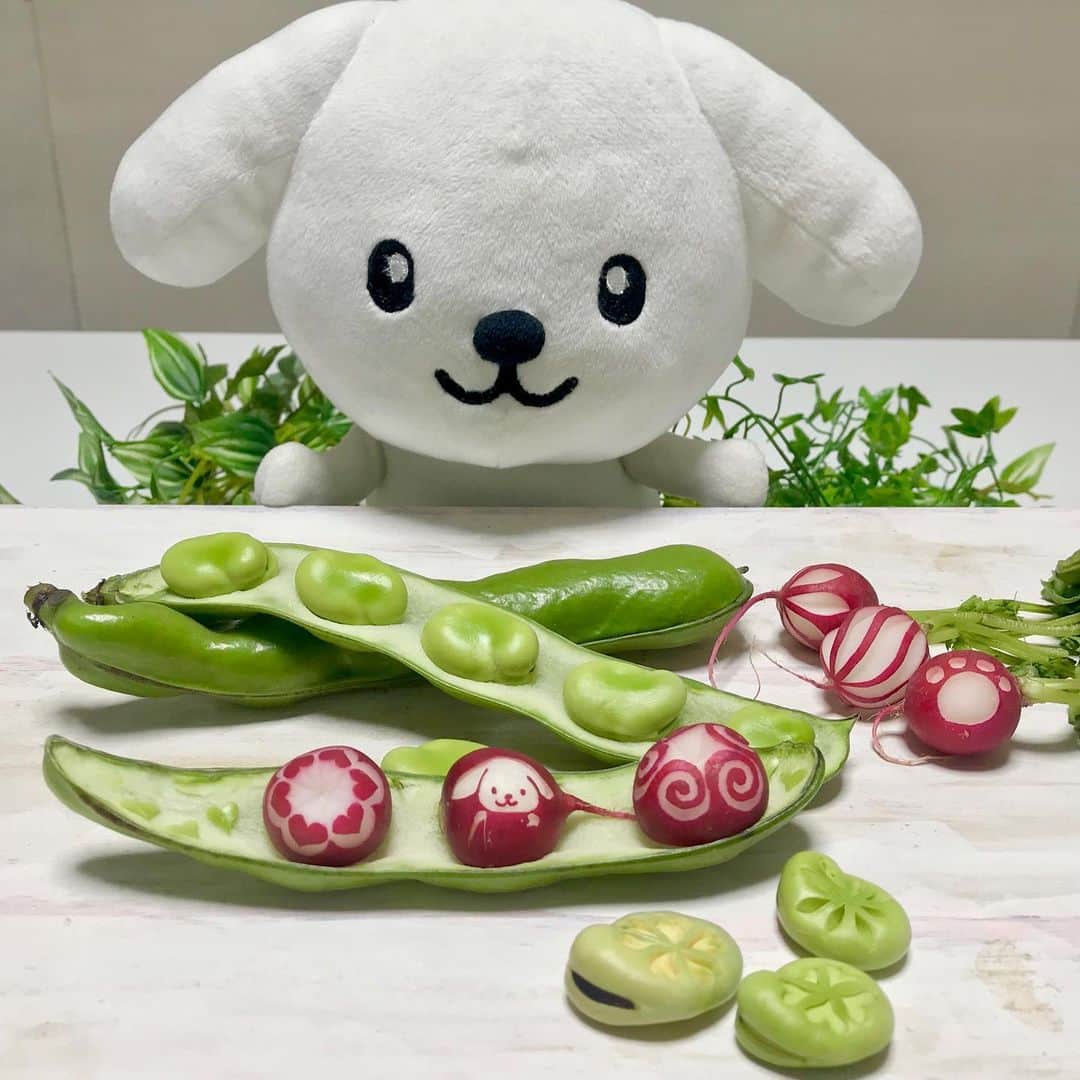 ダスキン ダス犬【公式】のインスタグラム：「【アートdeダス犬♪ハンドクラフト企画】 春はもうすぐそこ！ 今回はそらまめとラディッシュに ダス犬や素敵な絵柄を掘ってもらったよ！ @mayumi_ninomiya_carvingさん、いつも ありがとう！  #そらまめでカービング #ダス犬のおうちじかん  カービング監修 @mayumi_ninomiya_carving」