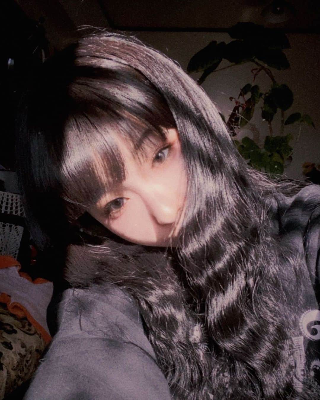 DAOKOのインスタグラム：「Hello:) I hope you are doing well.」