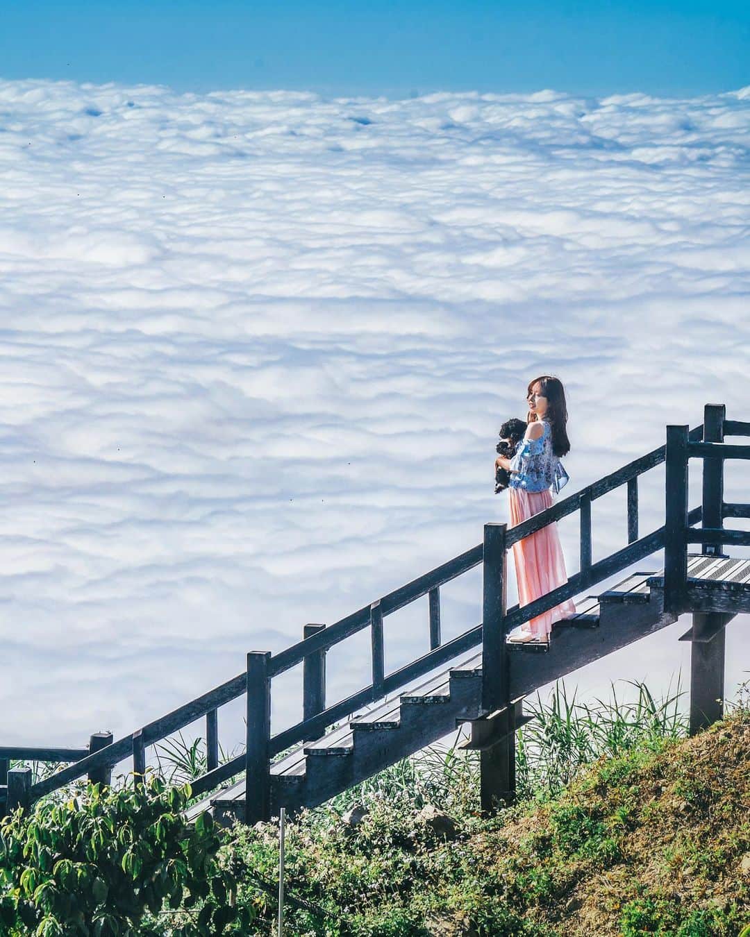 樂さんのインスタグラム写真 - (樂Instagram)「嘉義阿里山。隙頂雲海步道☁️ 所謂的天國的階梯應該就是這裡了🙈 除了上次步道上的視角，也發現這個側拍的角度，可以拍出整個人在雲海上的畫面🔥 拍出實在太驚艷，真的太美啦😍 非常推薦大家來這裡看雲海，絕對讓你難忘！ Tag你想一起看雲海的人吧☁️」2月25日 20時28分 - ygt1016