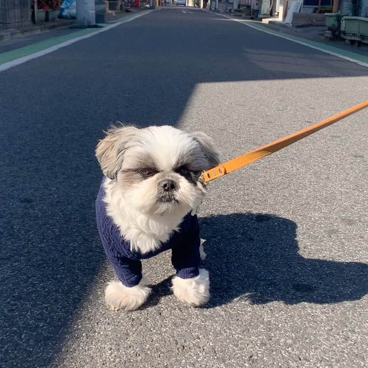 いくらのインスタグラム