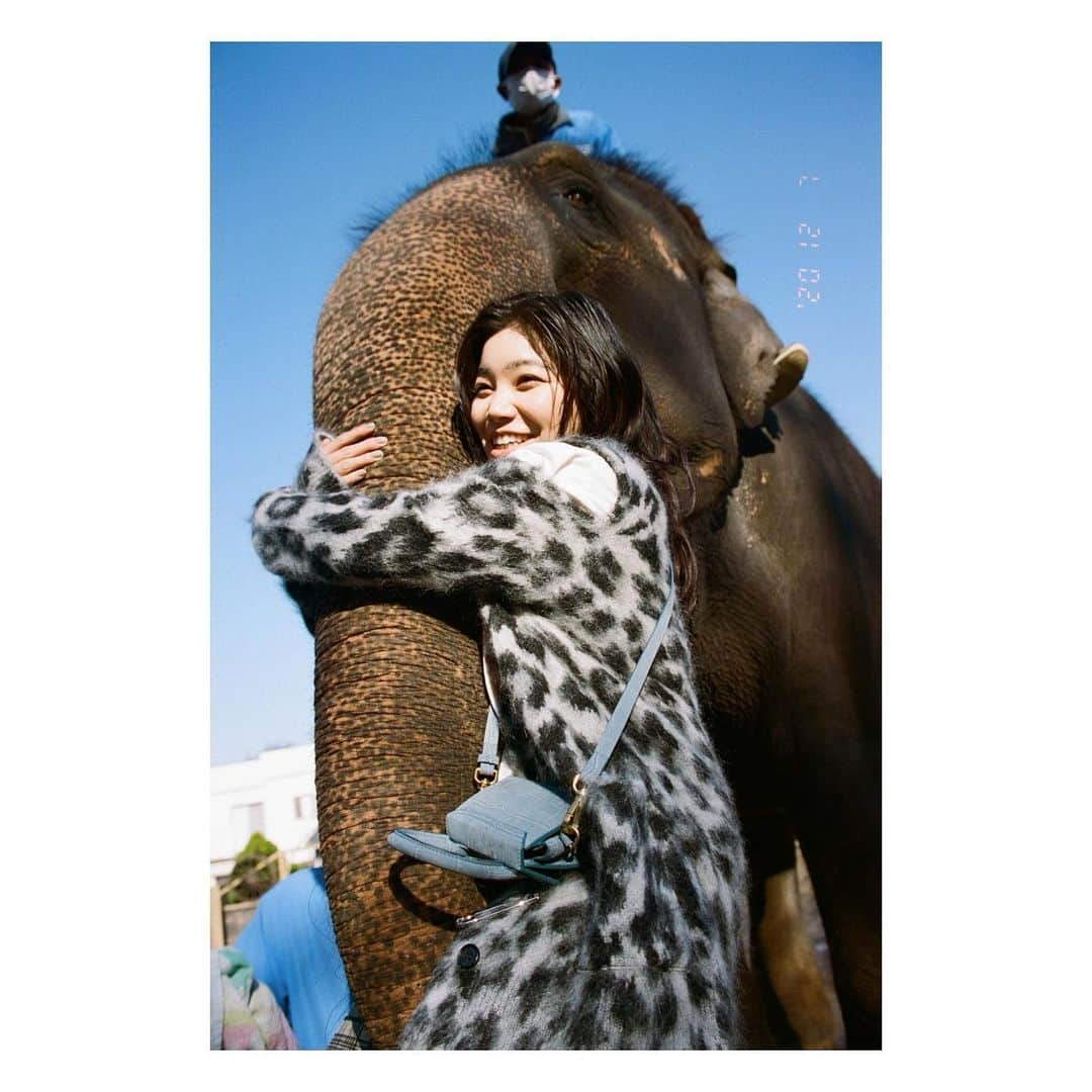 セントチヒロ・チッチさんのインスタグラム写真 - (セントチヒロ・チッチInstagram)「"PLAY A TUNE@BiSH"﻿ ﻿ 🐘🐘🐘﻿ ﻿ @perkmagazine」2月25日 20時55分 - cc_chittiii_bish