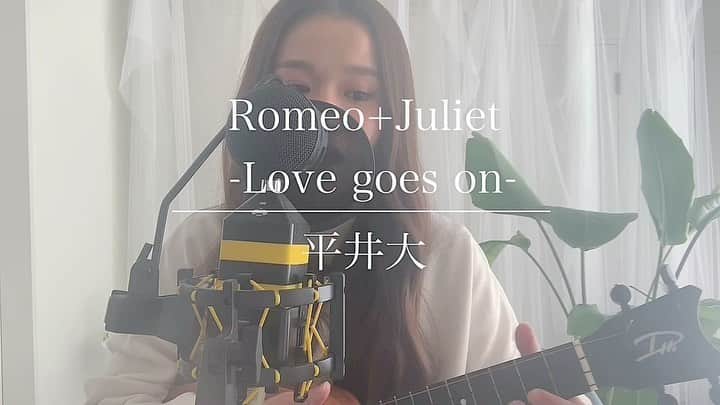 fumikaのインスタグラム：「Romeo+Juliet -Love goes on- / 平井大﻿ ﻿ ﻿ ハッピーなラブソングは﻿ 歌ってると気持ちが明るくなる😊﻿ ﻿ ﻿ ..........................................................﻿ ﻿ YouTubeにコードと一緒にFull﻿ UPしてるのでぜひチェックしてね!﻿ ﻿ #ukulele #ウクレレ #安定の木曜日﻿ #名曲 #cover #カバー #弾き語り﻿ #平井大 #RomeoJuliet #Lovegoeson﻿ #シンプルコード #コード ﻿ #簡単 #ウクレレ女子 #youtube ﻿ #fumicover #洋楽 #邦楽 #music ﻿ #リクエスト受け付け中 #singasong﻿」