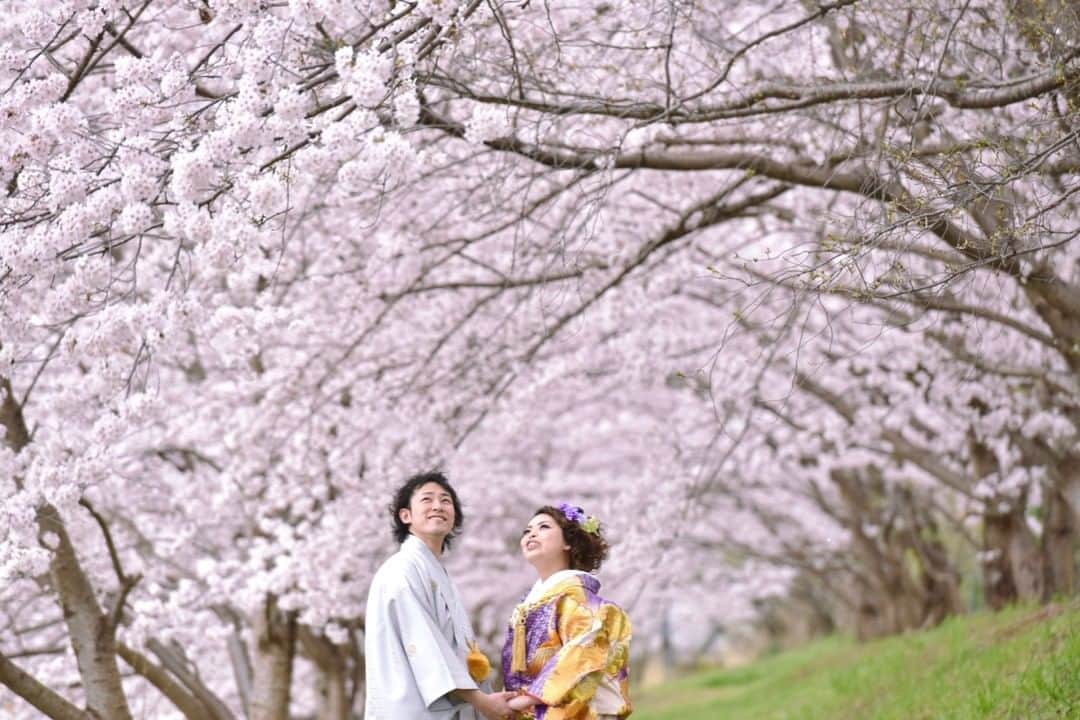 髪型ヘアスタイル・ウエディング、七五三、お宮参りのキキフォトのインスタグラム：「桜のトンネル  毎年恒例の  桜のトンネルでの前撮り  ここへ案内した人は  必ず前撮りのことを忘れて  桜に見とれています  ■■■■■  写真は未来の宝物 フォロー&コメント 飛び上がって喜びます。 @kikiphotoworks  LINEからでも問い合わせOK ぜひ追加くださいね🥰  LINEのID検索 uhk3050w  前撮りや後撮り、フォトウエディングは奈良だけでなく京都や大阪、そして関西だけでなく全国に出張しています。和装以外にドレスや私服でもOK！  もし何か分からないことや聞きたいことがあれば他の人の参考にもなるので遠慮なくコメントくださいね🤗  ■■■■■  いろんなアカウントあります↓  和装前撮り @kikiphotoworks/  フォトウエディング @kikiphotoworks_photowedding/  子育てプライベート Private photo @kikiphotoworks_kazuki_ikeda  お宮参り Baby shrine visit @kikiphotoworks_miyamairi  ドレス写真 Dress photo @kikiphotoworks_dress  癒しのイラスト Funny illustration @kikiphotoworks_illustration  Kimono wedding photo in Nara Japan. When pandemic is over, please come to Nara. Until then, please enjoy the scenery of Nara on Instagram.  I take wedding photos based in Nara, but I'm also on a business trip to Kyoto, Osaka, and nationwide.   If you have any questions or want to ask, please do not hesitate to comment as they will be helpful for others.  #2021夏婚  #2021秋婚 #婚約しました #婚約中 #桜のトンネル  #前撮りポーズ  #和装前撮り #奈良観光」
