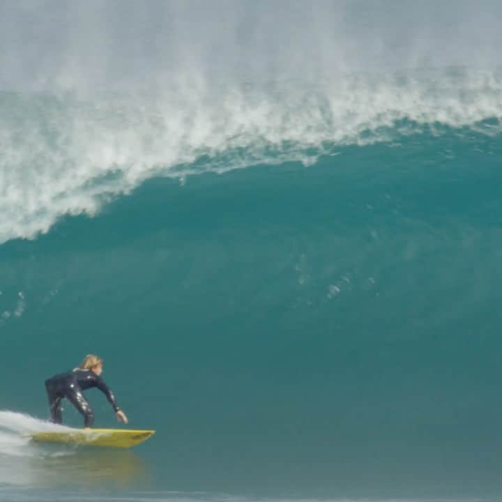 Surf Magazineのインスタグラム：「Just a reminder to (re)watch @harrybryant's new @octopusisreal part. It's fantastic. Video: @tomjenno」