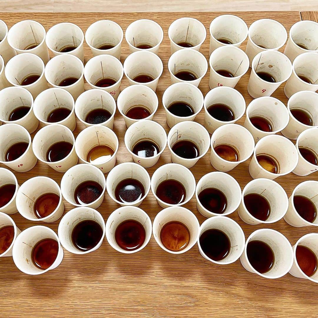 のインスタグラム：「あれは夢だったのかな、、  コーヒーテイスト100本ノック、、本当に100杯以上あった  60杯目ぐらいから、目が真ん中に寄ってたと思う  記事の公開を待ちます！  #mybest #コーヒー #コーヒー通販 #コーヒー豆 #飲み比べ #おうちコーヒー」
