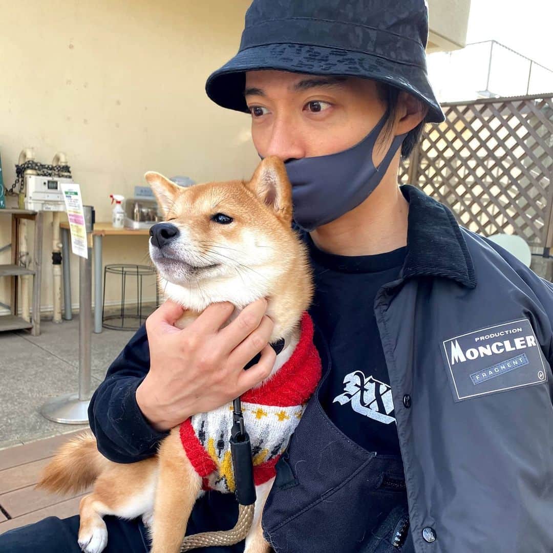 久保裕丈さんのインスタグラム写真 - (久保裕丈Instagram)「花見を強制されるが、食い物以外は興味ない犬 / / / #豆柴 #mameshiba #shibastagram #mamestagram #成長記録 #犬のいる暮らし #doglover #犬のいる生活 #いぬすたぐらむ #しばすたぐらむ #まめしばすたぐらむ #いぬのきもち #いぬ好き」2月25日 21時26分 - hirotakekubo