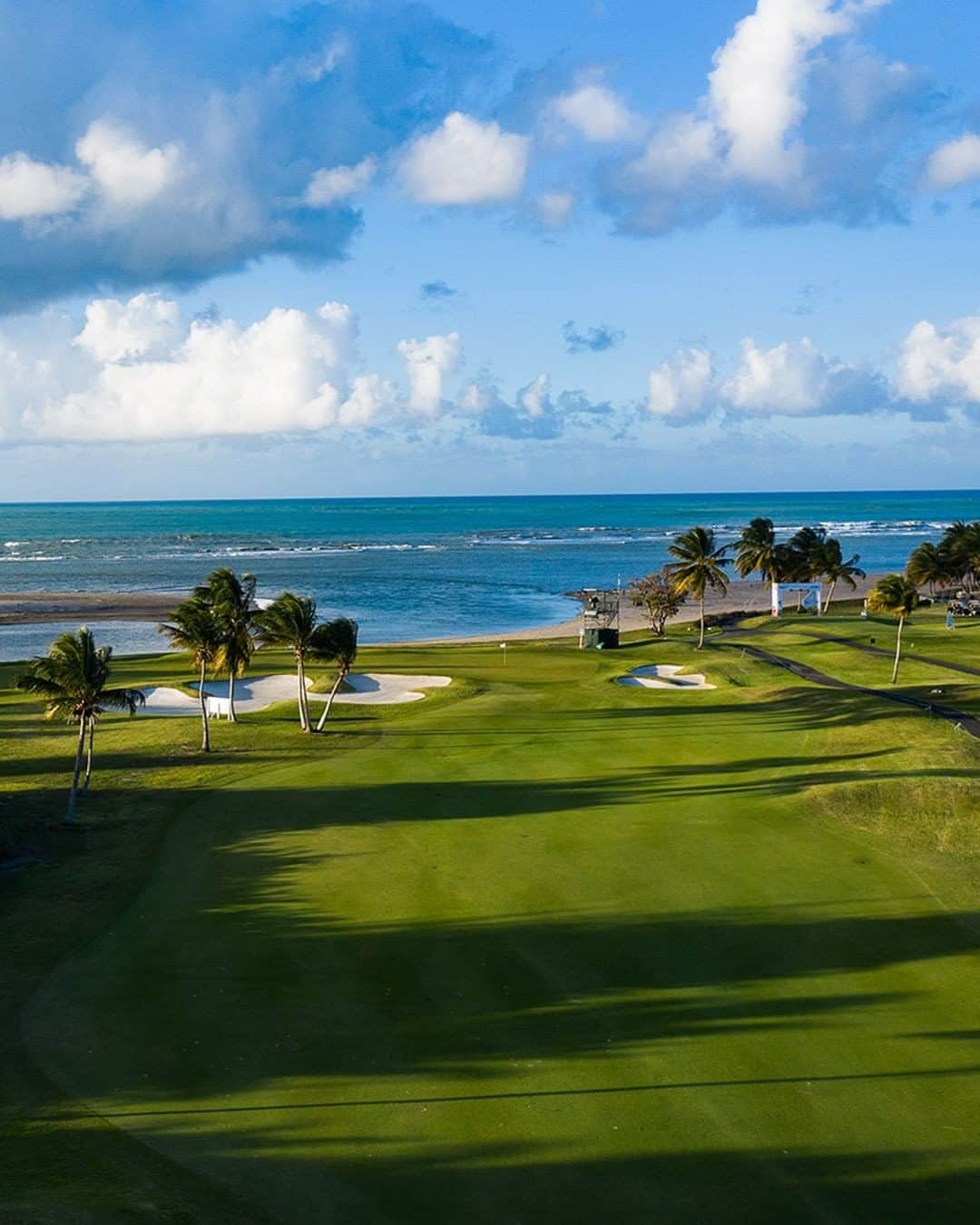 PGA TOURさんのインスタグラム写真 - (PGA TOURInstagram)「Play is underway @puertoricoopen. 🏖️⛳」2月25日 21時42分 - pgatour