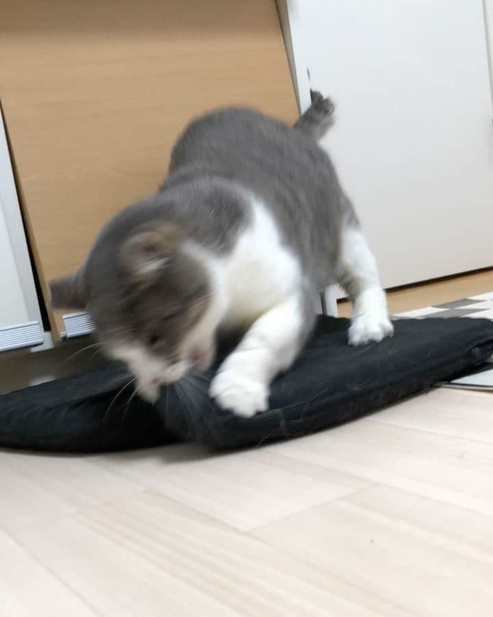 nozomiorideのインスタグラム