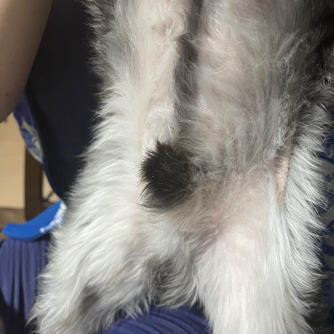 rasuさんのインスタグラム写真 - (rasuInstagram)「ムロちん」2月25日 23時39分 - rashu_eat