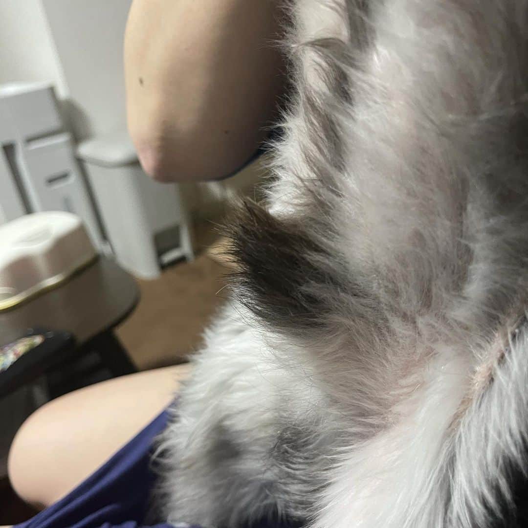 rasuさんのインスタグラム写真 - (rasuInstagram)「ムロちん」2月25日 23時39分 - rashu_eat