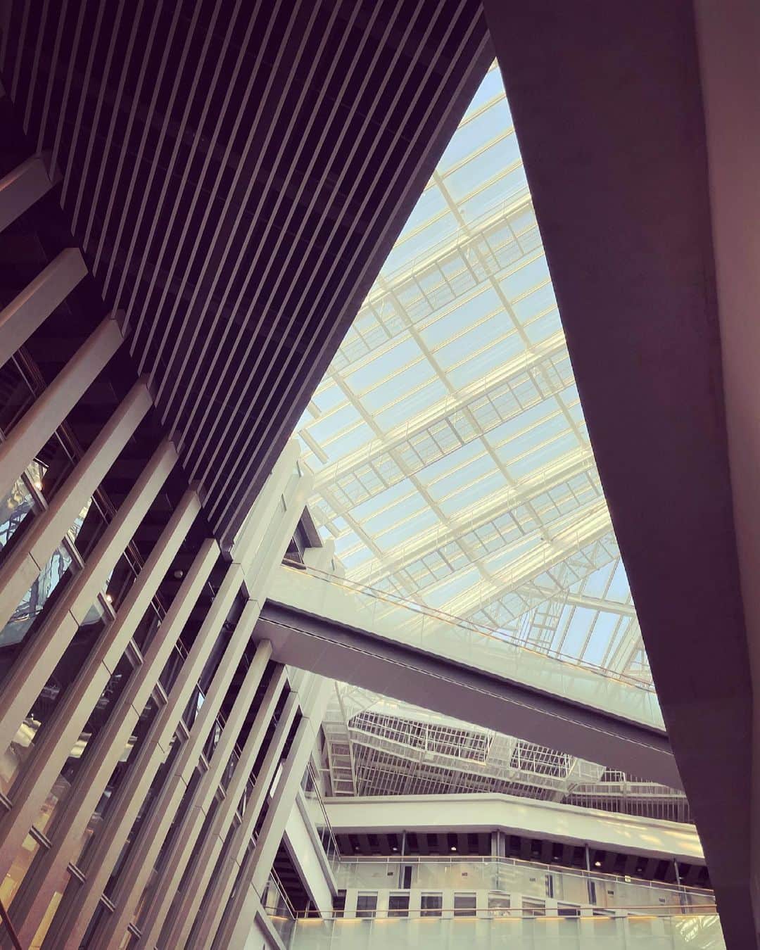 新倉瞳のグルメインスタ