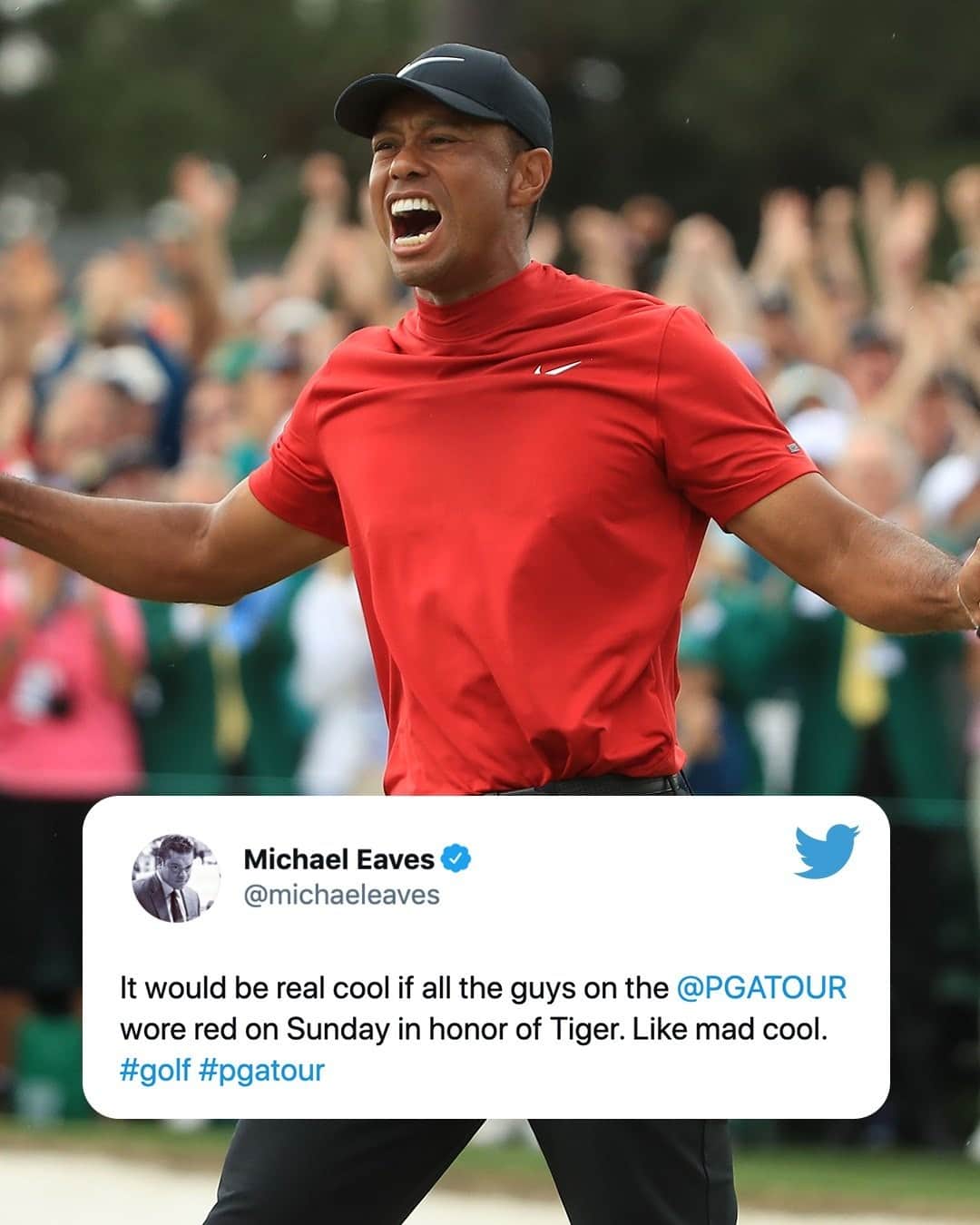 espnのインスタグラム：「This would be awesome ❤️ 🐅」