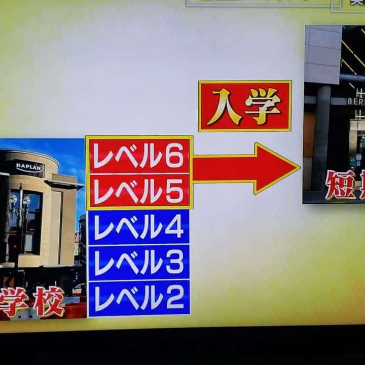 インゴのインスタグラム