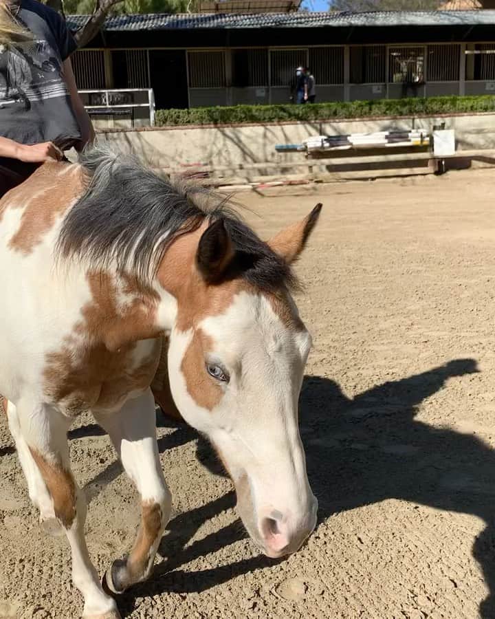 ベス・ベアーズのインスタグラム：「Daddy's girl! She'll follow him (and his horse Rosie) anywhere! 💛😻🐴」