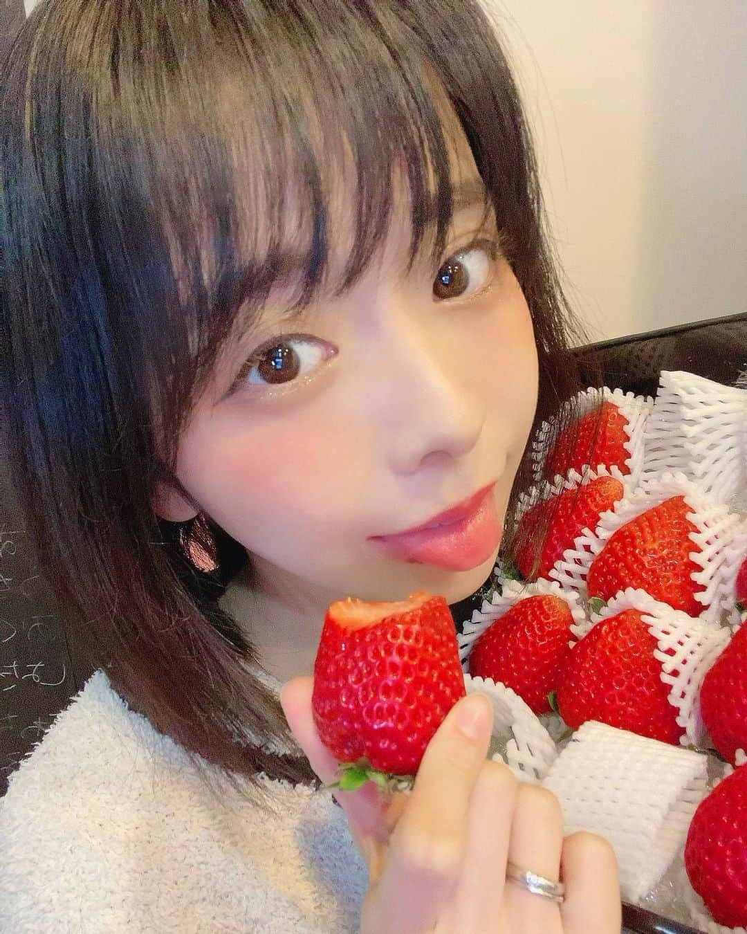 まんまるとまとのインスタグラム