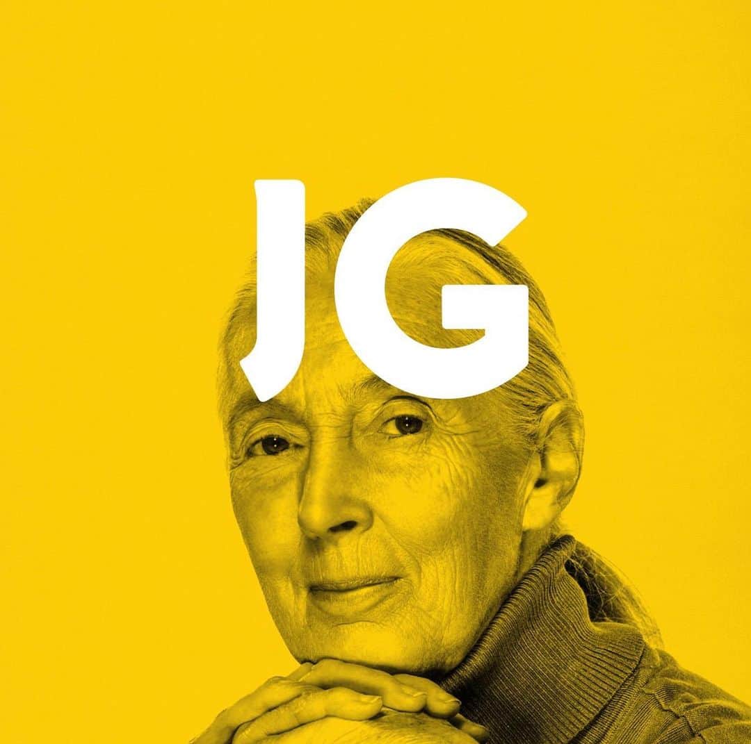 ダックス・シェパードさんのインスタグラム写真 - (ダックス・シェパードInstagram)「Jane Goodall. Fierce, intelligent, compassionate, groundbreaking, intuitive and iconic. She’s a lot of things. But Queen of Queens may sum it up best. @janegoodallinst @rootsandshoots」2月26日 1時36分 - daxshepard