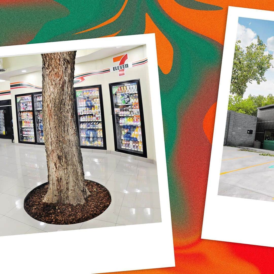 7-Eleven USAさんのインスタグラム写真 - (7-Eleven USAInstagram)「No, you're not seeing things. That really is a live tree in the middle of this eco-centric @7elevenmexico! Unbe-leaf-able! Drop a 📍 if you're adding this 7-Eleven location to your bucket list. #7ElevenPassport #OnlyAt7Eleven」2月26日 1時55分 - 7eleven