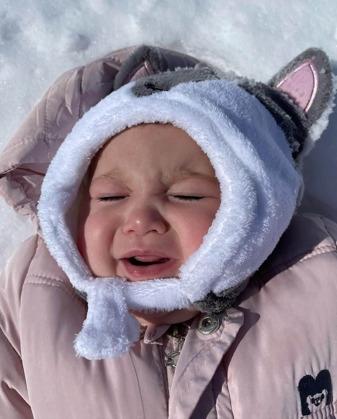 Elisabeth Riouxさんのインスタグラム写真 - (Elisabeth RiouxInstagram)「Wolfie’s first time in the snow ⛄️ we have the same mood about the canadian winters, she’s just like her mommy 🥰」2月26日 2時07分 - elisabethrioux