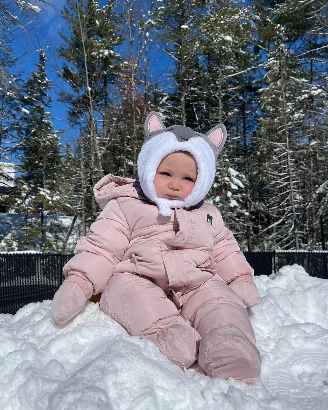 Elisabeth Riouxさんのインスタグラム写真 - (Elisabeth RiouxInstagram)「Wolfie’s first time in the snow ⛄️ we have the same mood about the canadian winters, she’s just like her mommy 🥰」2月26日 2時07分 - elisabethrioux