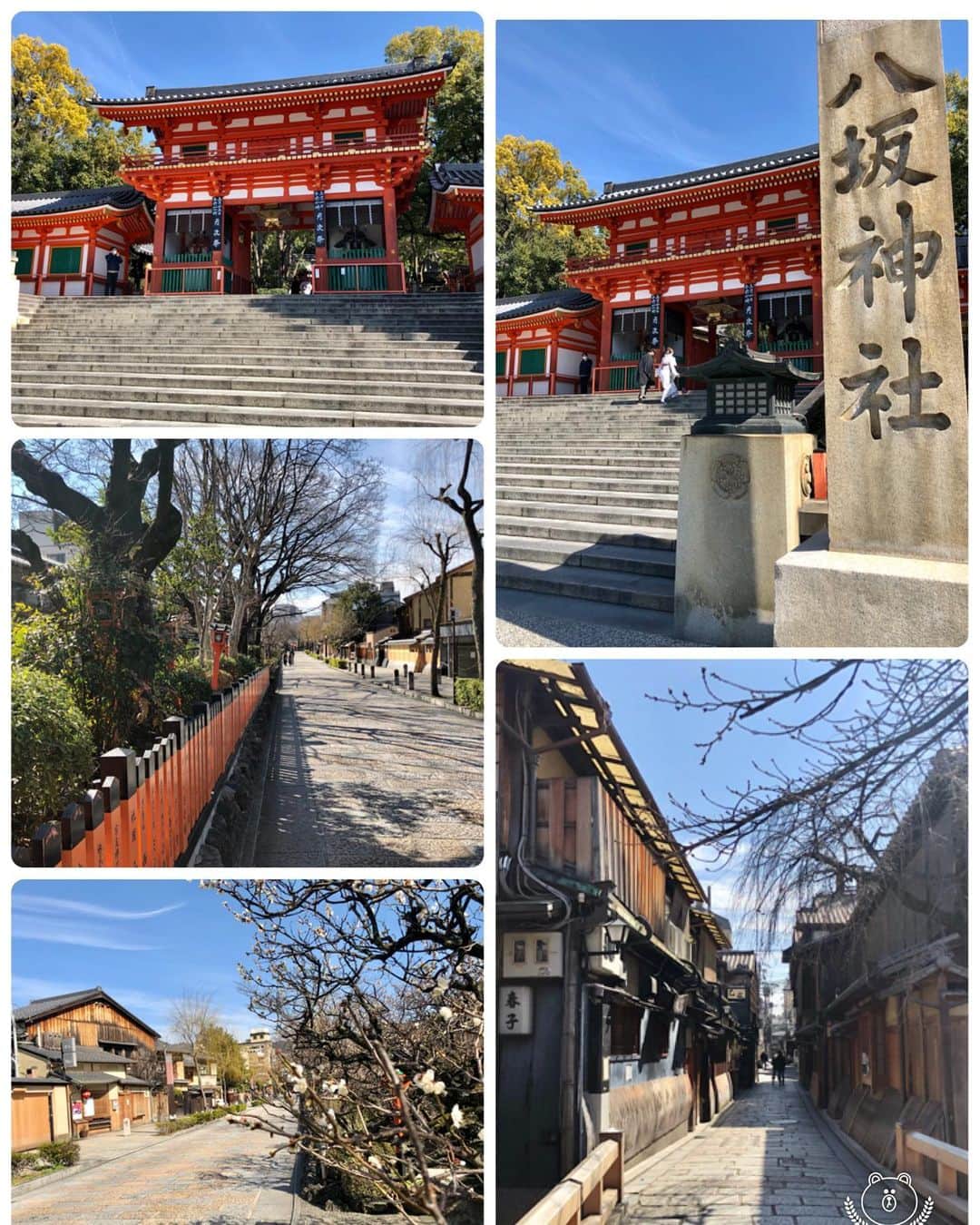 まんちの樹（マンチカンブリーダー）さんのインスタグラム写真 - (まんちの樹（マンチカンブリーダー）Instagram)「ずっと行ってみたかった『ねこにすと』。京都で開催されているので、初めて行ってきました。猫親戚さん発見したので『母ちゃん来たよ〜』シールを貼ってきました。みんな幸せそうで可愛かったよ〜😊たくさんの猫写真、見てるだけで幸せな気分になりました🍀 めったにお出かけできないから、『柚子屋旅館』でランチだけしました。歩く途中の祇園はほとんど人がいなくて、コロナが1日でも早く落ち着く事を願わずにはいられませんでした🍀  #マンチカン#munchkin#スコティッシュフォールド#アメリカンショートヘア#ミヌエット #猫#ねこ#ネコ#neko#cat#ねこ部#猫部 #子猫#kitten#kitty#にゃんすたぐらむ#ねこすたグラム#猫好き#猫のいる暮らし#ねこのきもち#まんちの樹#まんちの樹出身」2月26日 2時46分 - machiyominoura
