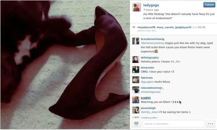 ジェロームCルソーのインスタグラム：「Please return @ladygaga ‘s dogs so they can continue chewing on my signature heels.」