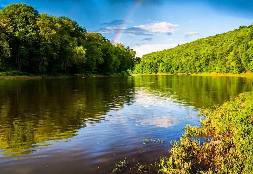 マーク・ラファロさんのインスタグラム写真 - (マーク・ラファロInstagram)「We WON! After 10 years of work, the Delaware River is protected from #fracking! Thanks @nygovcuomo, @GovMurphy, @GovernorTomWolf, and @JohnCarneyDE for voting to #banfracking. And thanks to the tireless work of so many organizations and individuals who made today’s win possible!」2月26日 8時49分 - markruffalo