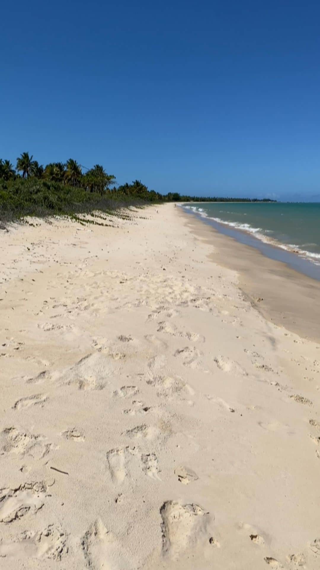 Preta Gilのインスタグラム：「Finalmente depois de 1 ano eu voltei pra Bahia, aqui onde estão minhas raizes, aqui onde me reconecto com minha ancestralidade com a energia e o Axé dessa terra !!!! Não conhecia Corumbau estamos mais que apaixonados !!!! #mozisroadtrip @vilanaia @behappyhoneymoon #mozis4ever #borntobehappy #behappyviagens」
