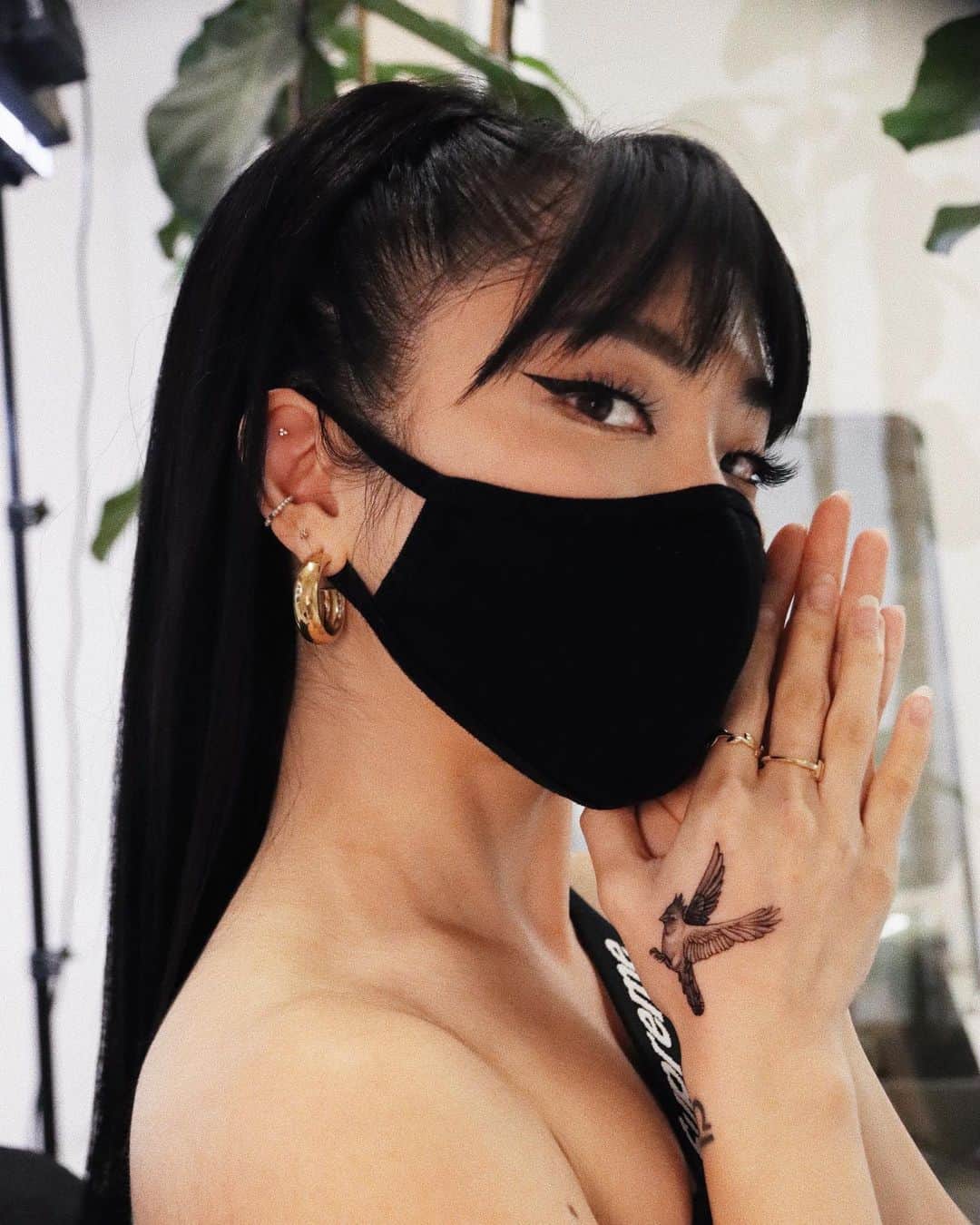 Marycakeのインスタグラム：「spiritual messenger 🦅 ty for our bb steller’s jays @ghinkos ⋋(◍’◊’◍)⋌」