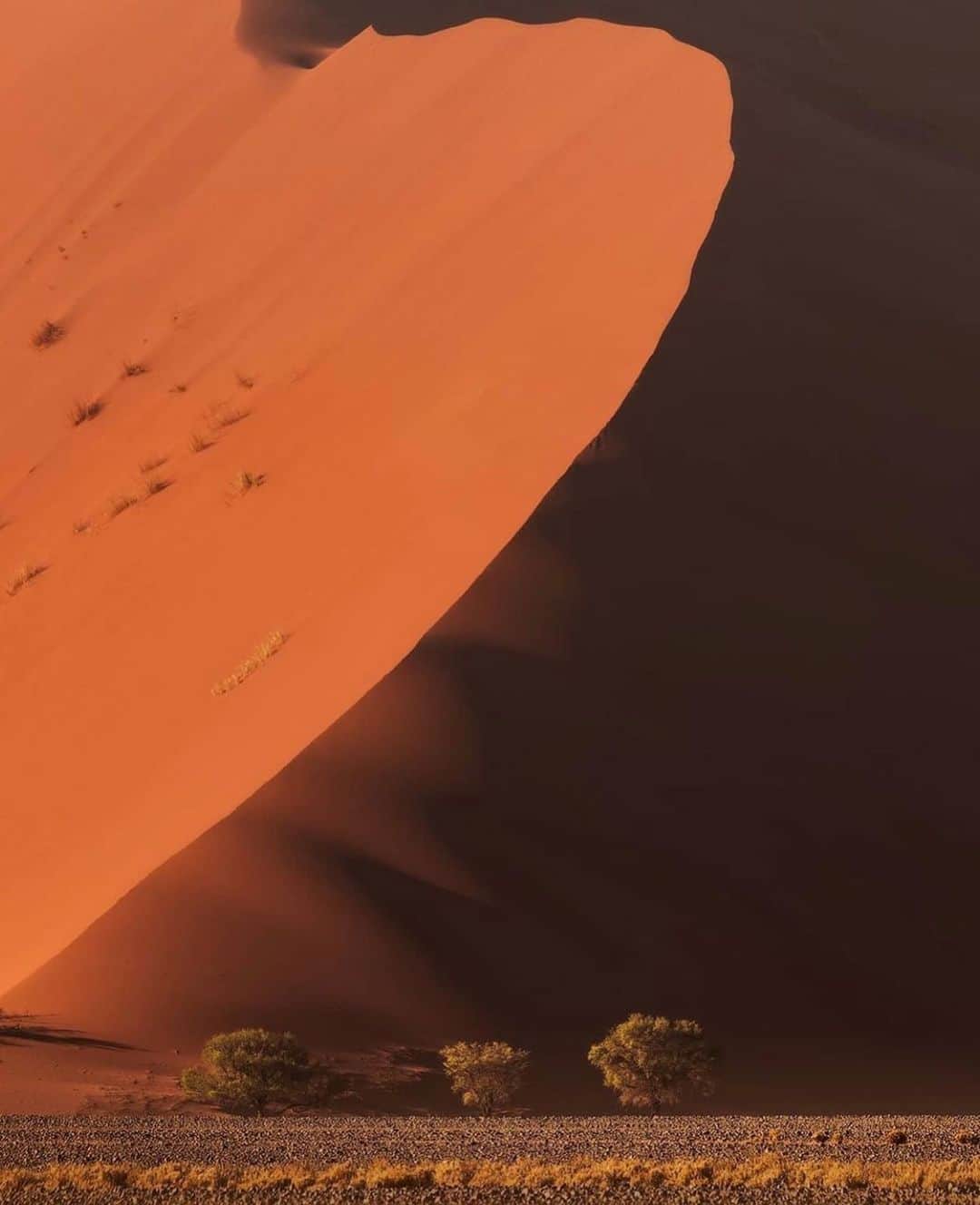 Earth Picsさんのインスタグラム写真 - (Earth PicsInstagram)「Sossusvlei Sand Dunes of the Namib Desert by @danielkordan」2月26日 3時56分 - earthpix