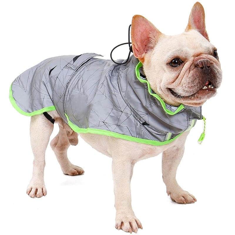 French Bulldogさんのインスタグラム写真 - (French BulldogInstagram)「Windbreaker Reflective French Bulldog Vest 💚 Exclusive in @frenchie.world shop 🛍🛍🛍 👉 LINK IN BIO 🔝 . . . . . #frenchie #frenchies #französischebulldogge #frenchbulldog #frenchbulldogs #dog #dogsofinstagram #frenchieworld #bully #bulldog #bulldogfrances #フレンチブルドッグ #フレンチブルドッグ #フレブル #ワンコ #frenchiesgram #frenchbulldogsofinstagram #ilovemyfrenchie #batpig #buhi #squishyfacecrewbulldog」2月26日 4時29分 - frenchie.world
