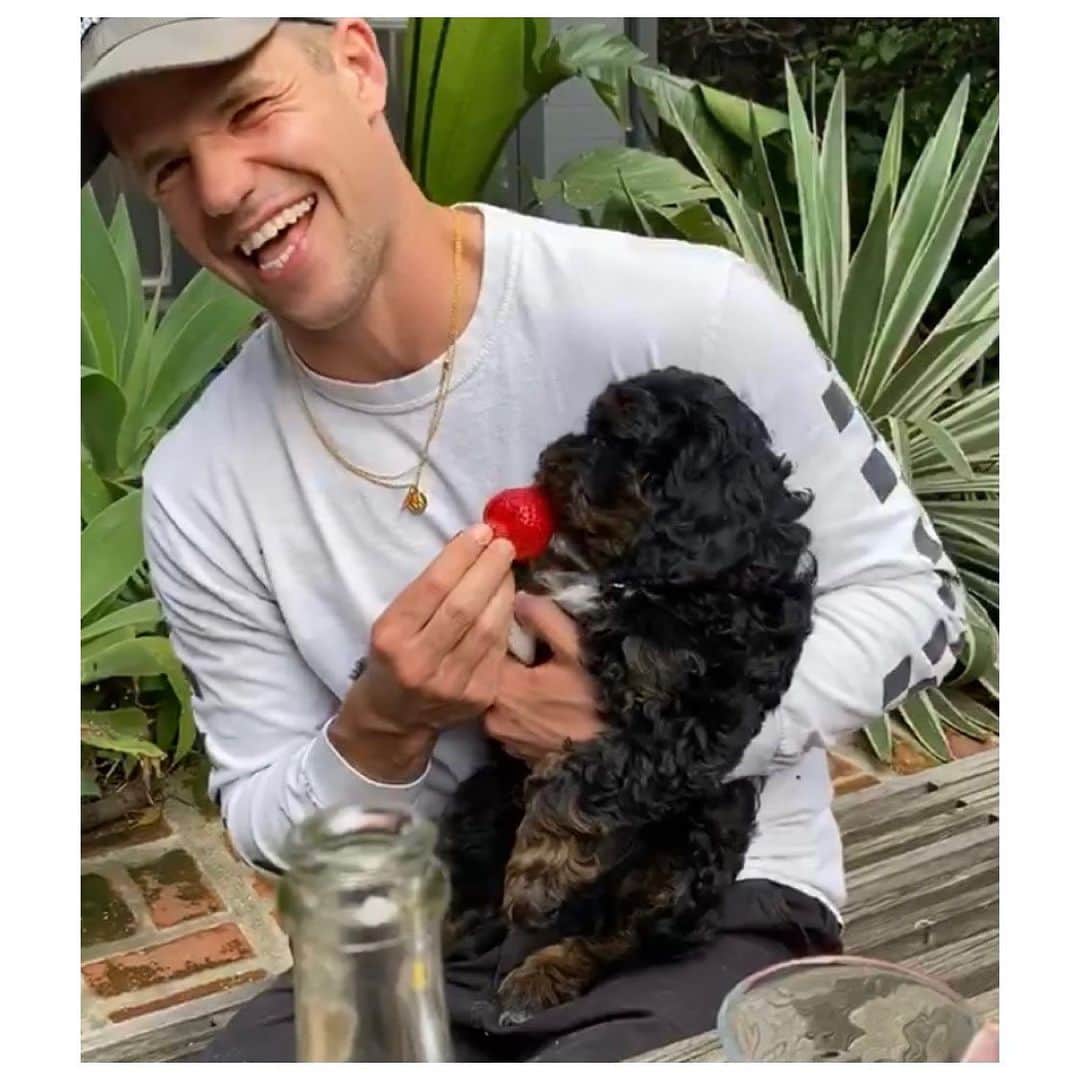 チャーリー・カーバーのインスタグラム：「Tune in this Friday at 2 PM PT / 5PM ET when I’ll be hosting an IG Live with @rainvaldez about Loving Differently as part of @absolutus #LoveResponsibly campaign.    Like so many folks this past year, I decided to expand my family by adding a furry friend. A little about Homer; he’s an Aquarius (not entirely sure about the moon/rising); he prefers to chew his toys only after he’s deposited them on top of my feet; he’s a little wary of big dogs, but once he gets the higher ground from, say, atop a bench at the dog park, he’s pretty fearless. No, it hasn’t entirely been puppy love between us. Sometimes it’s been tough getting up and putting the needs of a young animal first. Homer has contoured the limits of my own patience, perseverance, and need for personal space. There has been a lot of that last bit this year – personal space. Alone time. Something that felt personally sacred. Solitude that has, in moments, involuntarily shifted into feelings of isolation. Yes, there has been a strain on my personal relationships during a year spent largely apart from loved ones and the world at large. But that strain has been my teacher too, forcing me to think about how to love and care for myself and others responsibly.」