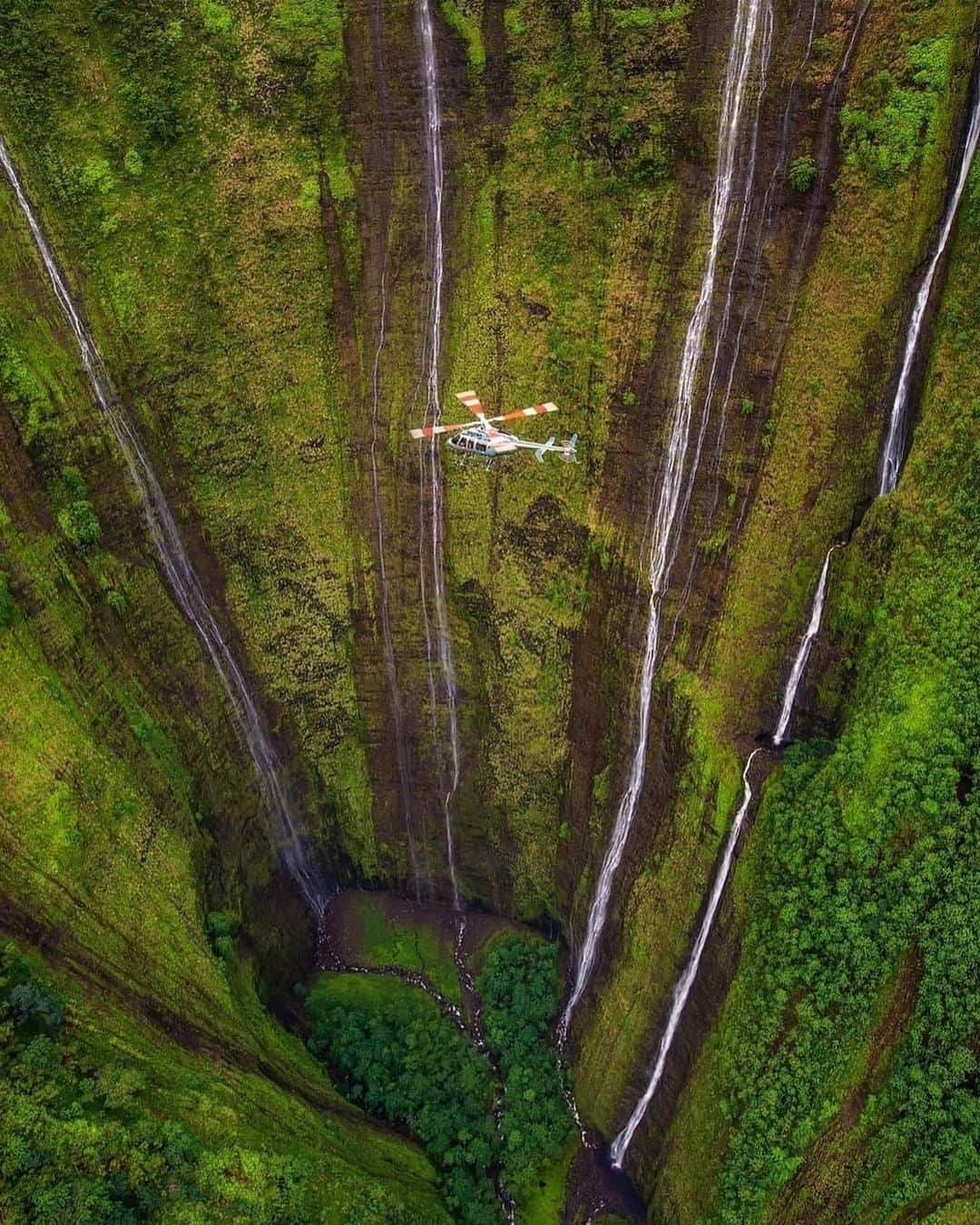 Discover Earthさんのインスタグラム写真 - (Discover EarthInstagram)「Waihilau Falls is the thirteenth highest waterfall in the world, and the third in the state. It is situated  in the Waimanu Valley in Hawaii. It peaks at 2,600 feet (790 metres)! Its name comes from wai hī lau which means "many trickling waters" since during heavy rains the stream splits into many smaller streams overflowing the cliff. Impressive, right?  🇺🇸 #discoverhawaii  with @bruceomori   . . . . .  #hawaii  #oahu  #aloha  #hawaiistagram  #hawaiilife  #honolulu  #ハワイ  #hawaiiunchained  #luckywelivehawaii  #hilife  #nakedhawaii  #venturehawaii  #waikiki  #hawaiian  #alohaoutdoors  #lethawaiihappen  #808  #ig_oahu  #luckywelivehi  #alohabones  #hawaiitag  #righteoushawaii  #paradise  #surf  #tourhawaii  #unrealhawaii  #ocean  #islandlife  #ワイキキ」2月26日 5時00分 - discoverearth