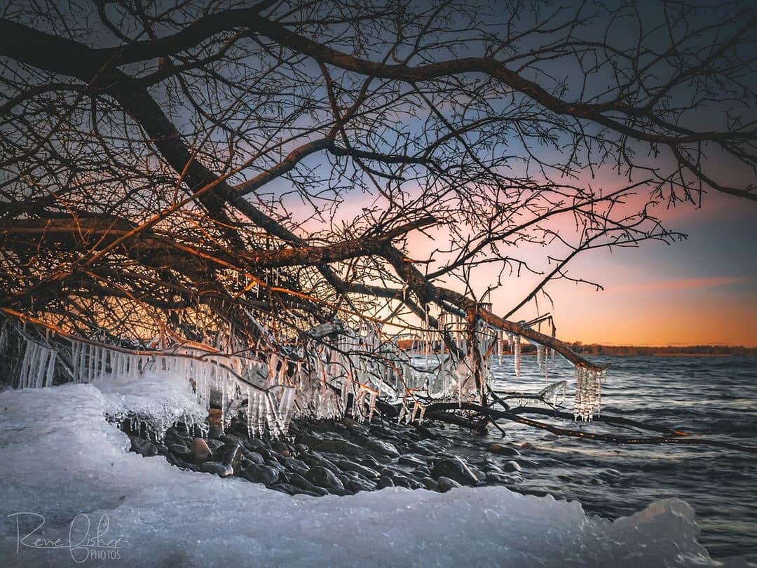 Ricoh Imagingのインスタグラム：「Posted @withregram • @renefisher_photography Low Hanging Trees and Lake Ontario Waves produces some interesting results in Winter. 😄⁠ ⁠ Taken with the RICOH GR III⁠ ⁠ #pentaxian #YourShotPhotographer #natgeoyourshot #ricohpentax #cangeo #sharecangeo #pentaxian #shootpentax #RicohImagingAmbassador #pentax ⁠#GRIII #GR3 #RICOH⁠ .⁠ .⁠ ⁠ .⁠ .⁠ .⁠ .⁠ ⁠ #dream_spots #visual_heaven #landscapephoto #epic_captures #discoveron⁠ #discoverON #marvelous_shots #landscape_love #landscapebeauty #natgeo #YourShotPhotographer #natgeoyourshot #justgoshoot #wonderful_places #sharecangeo #thevisualcollective #splendid_shotz」