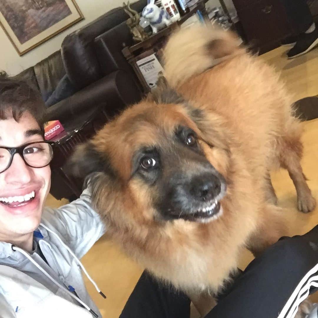 ジョーイ・ブラッグのインスタグラム：「We lost a member of our family today. Bucky was the sweetest (to us), flufffiest, silliest doggy a kid could ask to grow up with. I’ll miss your middle of the night scream barks so much. I love you and I’ll miss you everyday, Buck.」