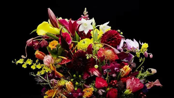 椎木俊介のインスタグラム：「Flowers  #azumamakoto #makotoazuma #shiinokishunsuke #amkk #amkkproject #flowers #flowerart #東信 #東信花樹研究所 #花  #timelapse」