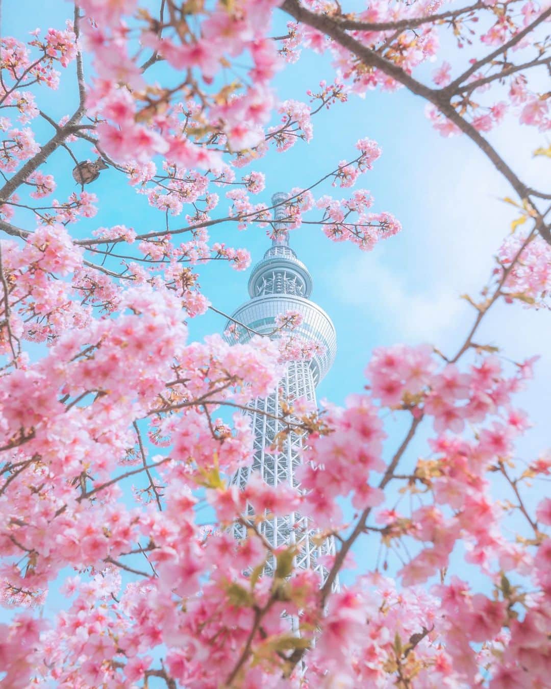 ももせゆきのインスタグラム