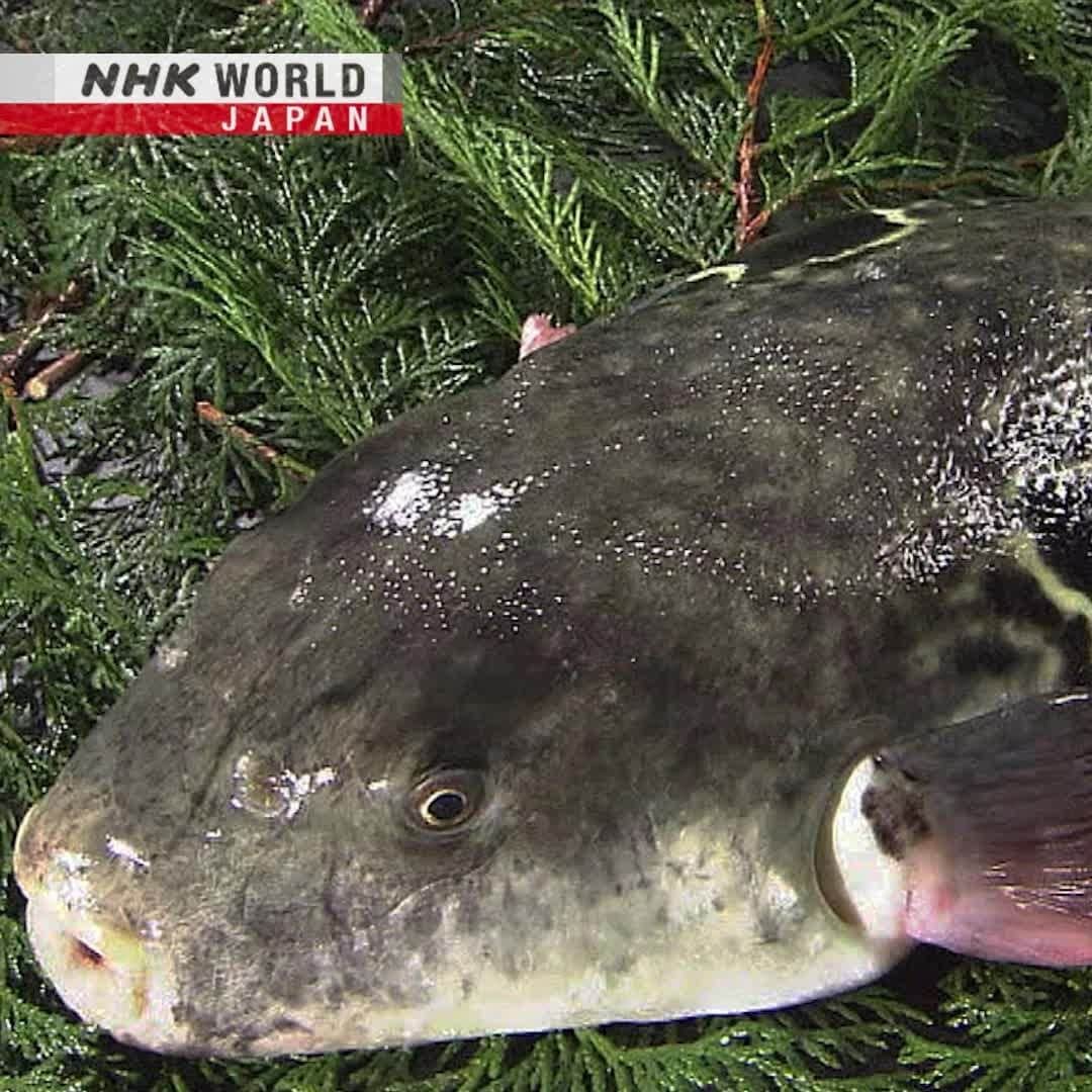 NHK「WORLD-JAPAN」のインスタグラム