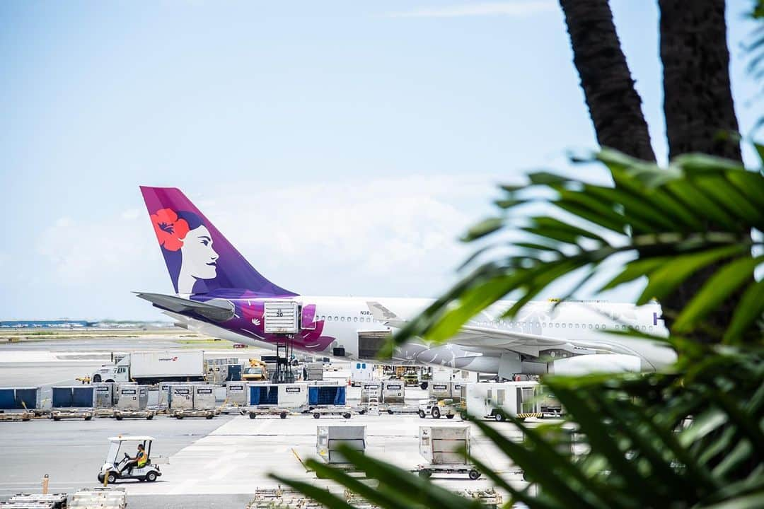 ハワイアン航空さんのインスタグラム写真 - (ハワイアン航空Instagram)「We always love seeing your captures of Pualani! 💜   📷 @hawaiistyle_mag」2月26日 7時00分 - hawaiianairlines