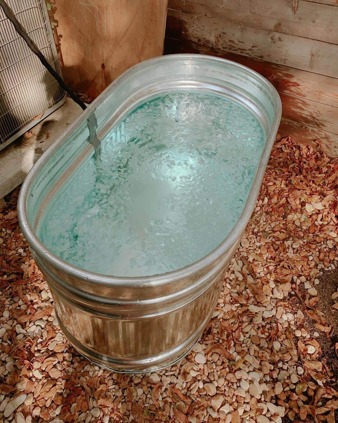 リンジー・モーガンのインスタグラム：「Taking this cowboy tub & backyard baths to a new level while await my new hot water heater...I’m very popular on my street now 😝 That Texas blizzard was a doozy and luckily and gratefully, came out pretty unscathed, minus a broken water heater and a dead car battery. Inconveniences but overall, so grateful that me, britz, my home & fam & friends were mostly all ok! I’ve been donating to a couple charities here and in honor of my birthday would love to post one for y’all to donate to, if you can & desire to! I’ll be linking on my bday on the 27th 🙏🏽✨♥️」