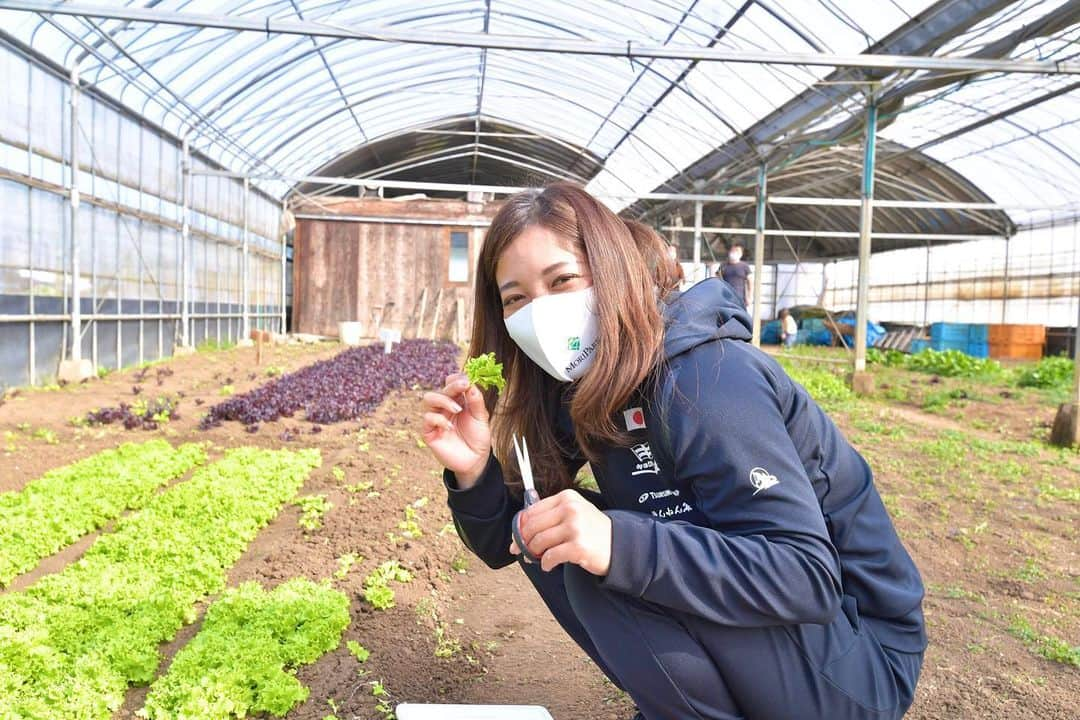 矢澤亜季さんのインスタグラム写真 - (矢澤亜季Instagram)「*🌱🌱🌱  ＼豊後大野スッキリ割！／  豊後大野市ふるさと大使としてRealizeさんにて《ベビーリーフ収穫体験》をしてきました。✂︎🌱🥗 収穫後は軽食としてベビーリーフをはじめ地元で作られたソーセージ、ハムやパンなどが出てきてサンドウィッチにして食べることもできます😋  現在、ツーリズム豊後大野では『豊後大野スッキリ割！日帰り体験プログラム』を開催しております。 大分県の方は是非チェックしてみてください🤗 . . . #大分県 #豊後大野市 #ふるさと大使 #ツーリズム豊後大野 #体験プログラム #ベビーリーフ #収穫 #収穫体験 #🌱 #カヌースラローム #アスリート #女子アスリート #トレーニング #トレーニング女子 #フィットネス #フィットネス女子  #筋トレ女子 #筋肉女子 #釣りガール  #canoe #slalom #athlete #oita #japan #nature #love #babyleaf」2月26日 18時04分 - aki.yazawa