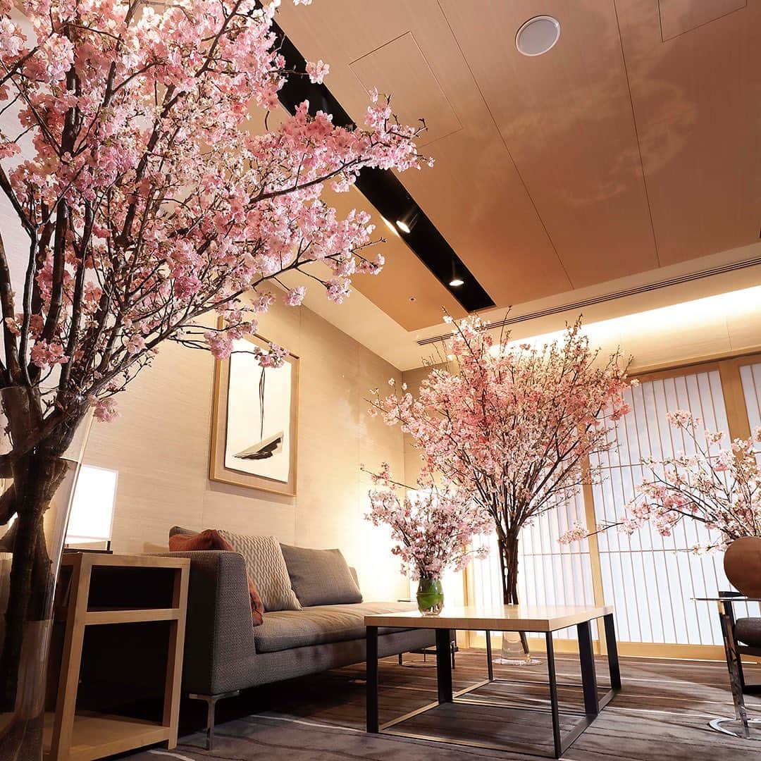 ザ・キャピトルホテル 東急 公式さんのインスタグラム写真 - (ザ・キャピトルホテル 東急 公式Instagram)「今年の春は、”密を避けながら” 和モダンな客室で春爛漫の趣を存分に楽しむのはいかがでしょうか？４月１７日まで限定の「桜スイートステイ / 桜ステイプラン」では、満開の桃色の春花が客室にて皆さまをお迎えし、ホテルオリジナルのお花見三段重と桜色のロゼシャンパンが特別なお花見体験を盛り上げます。プライベートな空間で特別な ”春の訪れ” をぜひご満喫ください。	  Why not enjoy the atmosphere of spring “while avoiding the crowds” in a modern Japanese-style room? In the “Cherry Blossom Suite Stay/Cherry Blossom Stay Plan”, which is limited to April 17th, the fully bloomed pink spring flowers will welcome you in your room, and the hotel’s original cherry blossom viewing three tiered bento lunch along with the cherry-coloured rosé champagne will liven up the special cherry blossom viewing experience. Welcome the special “arrival of spring” in a private space.  #thecapitolhoteltokyu #ザキャピトルホテル東急 #ForbesTravelGuide #thepreferredlife #FTGStarAwards #staycation #お花見 #hoteldesign #桜 #cherryblossom」2月26日 17時59分 - thecapitolhoteltokyu