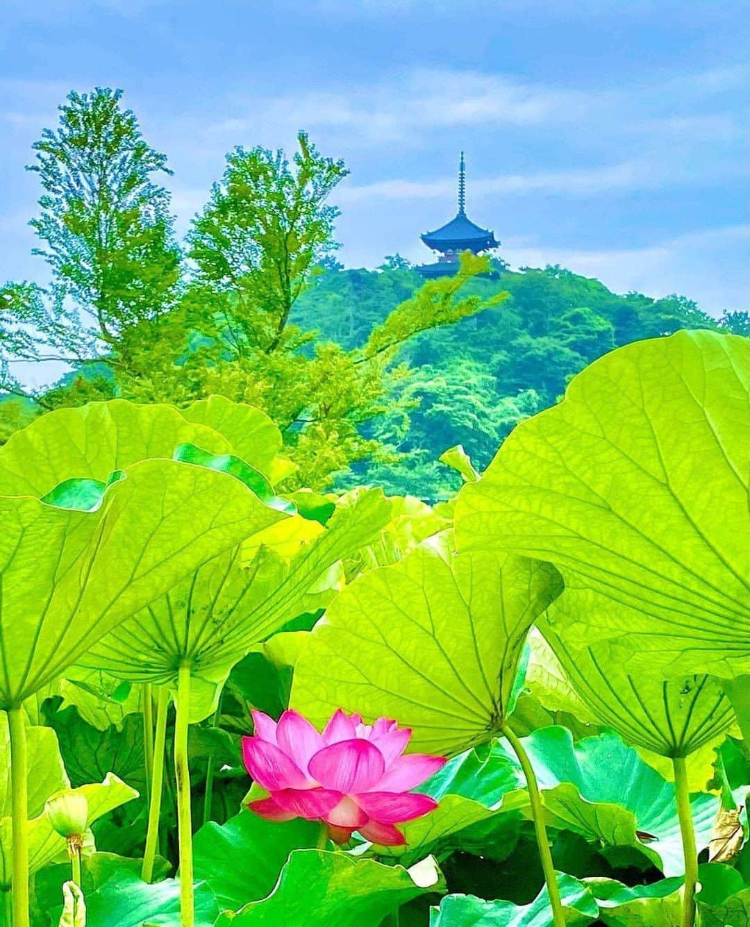 横浜市のインスタグラム