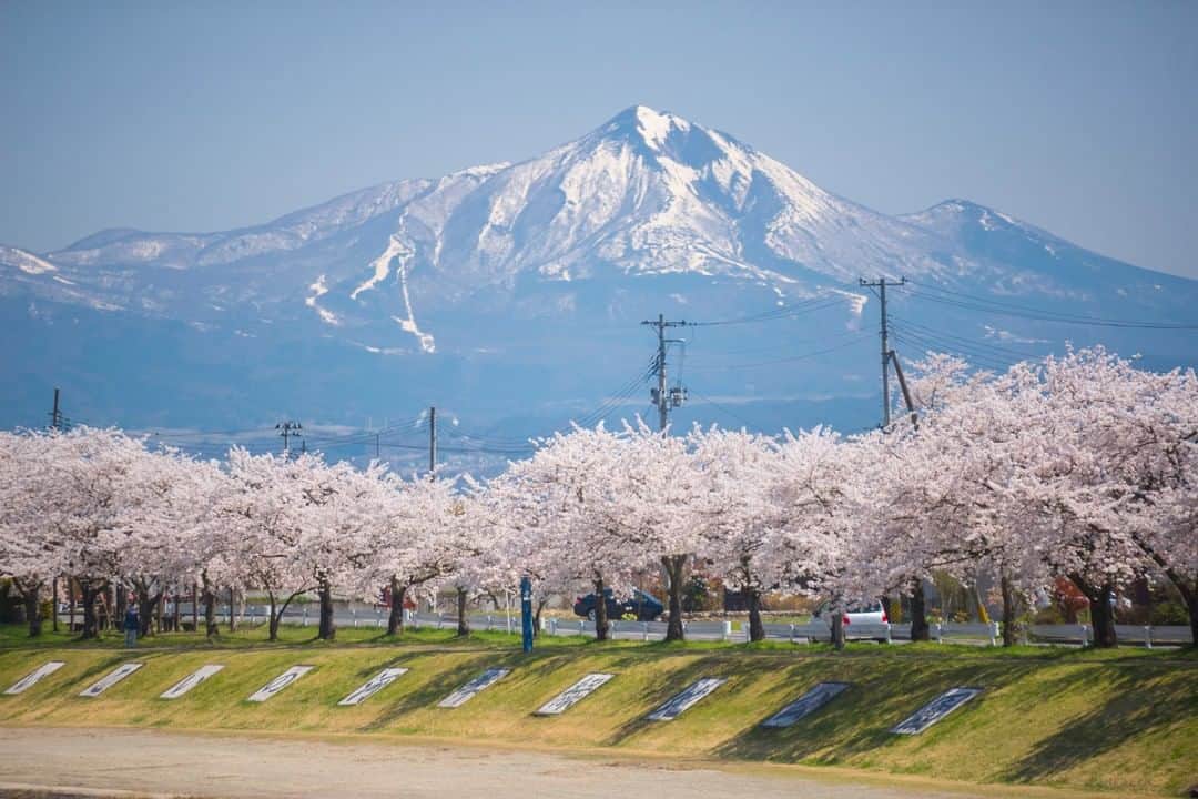 TOBU RAILWAY（東武鉄道）さんのインスタグラム写真 - (TOBU RAILWAY（東武鉄道）Instagram)「. 🚩Miya-kawa Sembon Zakura - Aizu, Japan . . [“Miya-kawa Sembon Zakura (1,000 cherry blossom trees)” Recommended as a Beautiful Cherry Blossom Spot!] . Between Miyase Bridge and Nakagawa Bridge in Aizumisato Town, the banks of the Miya-kawa River become very beautiful cherry blossom spots from mid to late April every year. These cherry blossoms go perfectly with Mt. Bandai in the background as well. To visit these spots, use the “Yuttari Aizu Tobu Free Pass” and go to Nishi-Wakamatsu Station, take a train on the JR Tadami Line, get off at Aizu-Takada Station, and walk for approximately 20 minutes. If you visit Aizu in spring, please visit these spots!  . .  #visituslater #stayinspired #nexttripdestination . . #aizu #宮川千本桜 #tohoku #japantrip #discoverjapan #travelgram #cooljapan #tobujapantrip #unknownjapan #jp_gallery #visitjapan #japan_of_insta #art_of_japan #instatravel #japan #instagood #travel_japan #exoloretheworld #ig_japan #explorejapan #travelinjapan #beautifuldestinations #japan_vacations #beautifuljapan #japanexperience #cherryblossomjapan #japanspring」2月26日 18時00分 - tobu_japan_trip