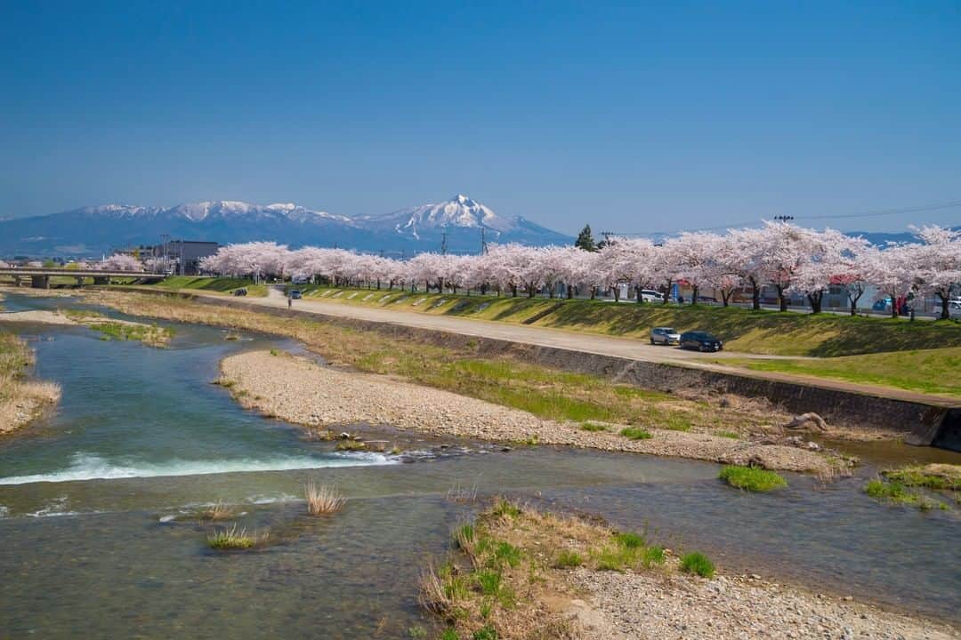 TOBU RAILWAY（東武鉄道）さんのインスタグラム写真 - (TOBU RAILWAY（東武鉄道）Instagram)「. 🚩Miya-kawa Sembon Zakura - Aizu, Japan . . [“Miya-kawa Sembon Zakura (1,000 cherry blossom trees)” Recommended as a Beautiful Cherry Blossom Spot!] . Between Miyase Bridge and Nakagawa Bridge in Aizumisato Town, the banks of the Miya-kawa River become very beautiful cherry blossom spots from mid to late April every year. These cherry blossoms go perfectly with Mt. Bandai in the background as well. To visit these spots, use the “Yuttari Aizu Tobu Free Pass” and go to Nishi-Wakamatsu Station, take a train on the JR Tadami Line, get off at Aizu-Takada Station, and walk for approximately 20 minutes. If you visit Aizu in spring, please visit these spots!  . .  #visituslater #stayinspired #nexttripdestination . . #aizu #宮川千本桜 #tohoku #japantrip #discoverjapan #travelgram #cooljapan #tobujapantrip #unknownjapan #jp_gallery #visitjapan #japan_of_insta #art_of_japan #instatravel #japan #instagood #travel_japan #exoloretheworld #ig_japan #explorejapan #travelinjapan #beautifuldestinations #japan_vacations #beautifuljapan #japanexperience #cherryblossomjapan #japanspring」2月26日 18時00分 - tobu_japan_trip